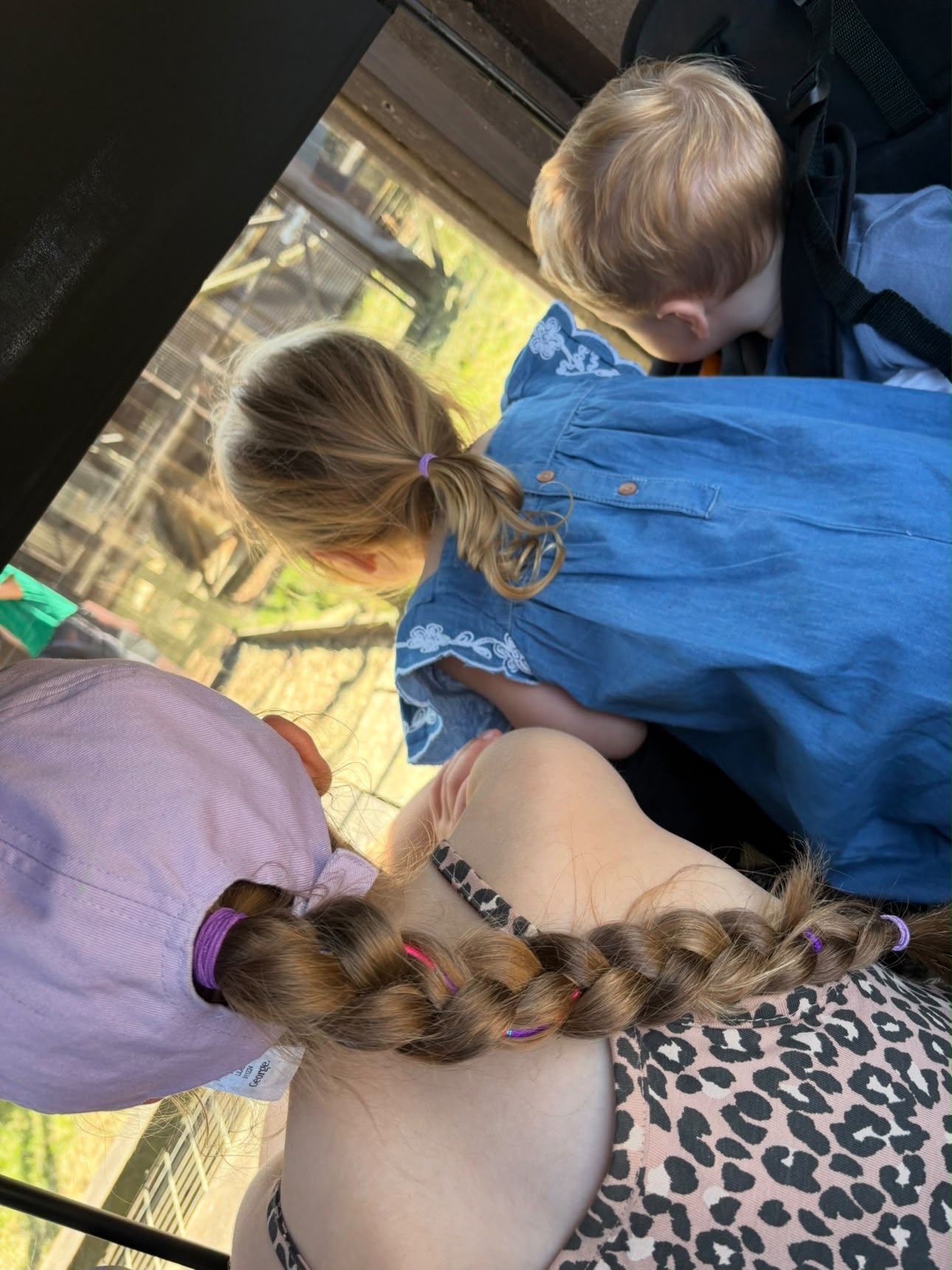 Children looking out from the WonderFold wagon at an animal enclosure