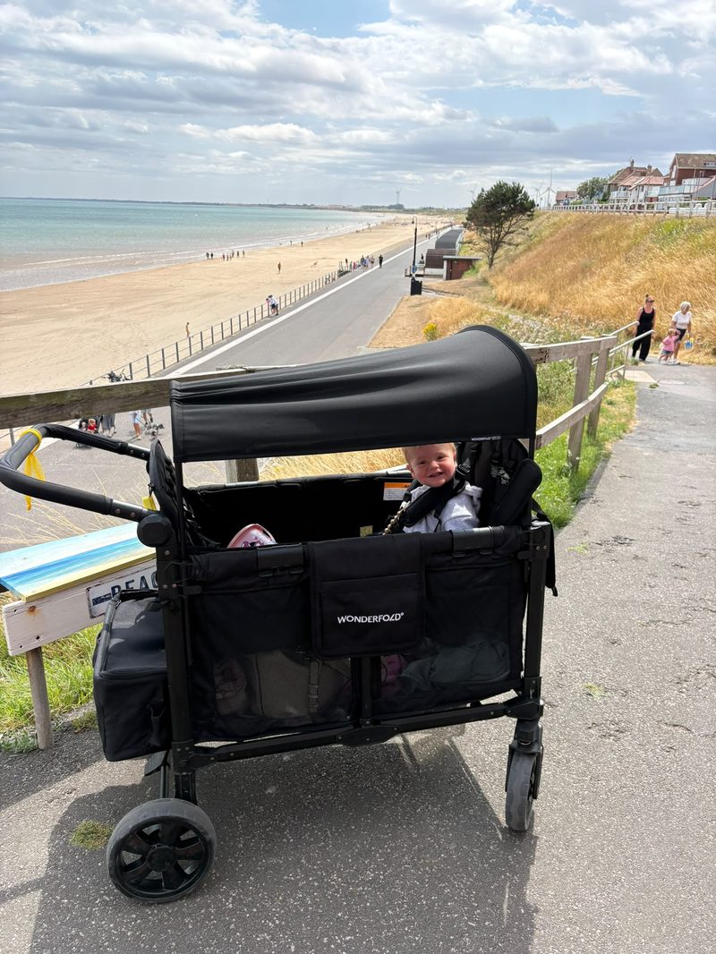 WonderFold wagon parked overlooking a sandy beach
